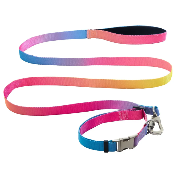 AnimAll нашийник+повідець, panton 1, 25/420-520/1800 мм