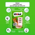 KITEKAT пауч з Лосось в соусі 28*85г