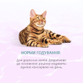 Opt Б'юті Банка кот. Гарм. см.тунець в желе з водор. 48х0.07 кг (UC)