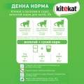 KITEKAT пауч з Лосось в соусі 28*85г