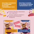 Del Пауч кот. Набір #2 (2х0,085кг+2х0,08кг), 0,33 кг (LT)