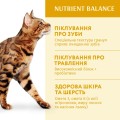 Opt Пакет кот. курка 4x1.5 кг