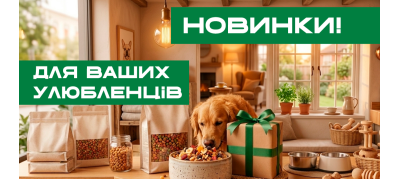 Новинки