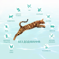 Opt Б'юті Пакет кот. Фіт. здорова вага, стерил. 4 кг